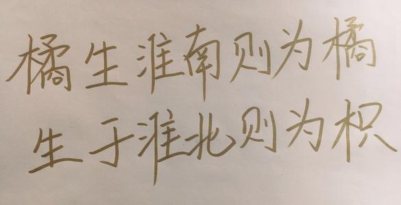为了我们最好的时间
