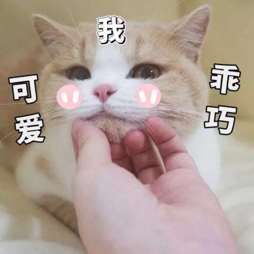 有你陪伴吗