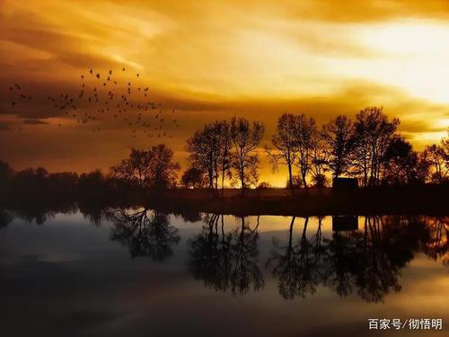 奇妙的自然景观