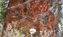 最嗨九溪十八涧