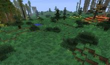 我是一簇灌木丛