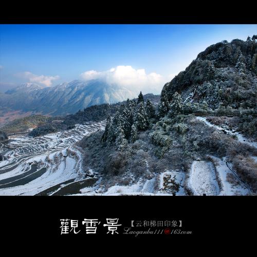 雪景