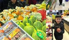 我是“小鬼”我当家