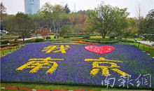 我爱校园的花坛