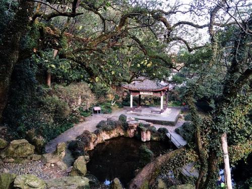 寂寞山半日游