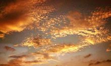 追着阳光向前跑