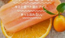 夏日的那一抹橙色