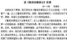 记一次野炊_550字