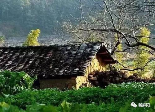 不可磨灭的过去