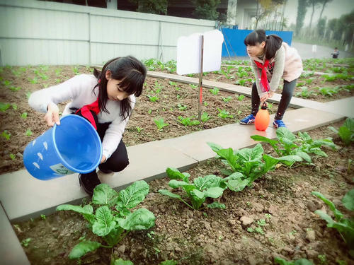 品尝收获的喜悦