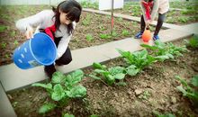 品尝收获的喜悦