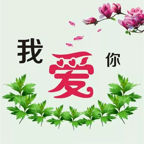 爱情不必说