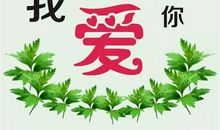 爱不一定要说出来