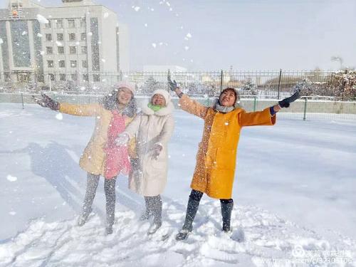 纪念冬雪
