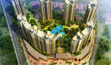 “翡翠湾”不翡翠