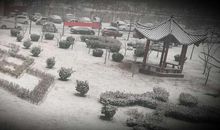 “羞答答”的秘密