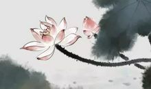 知足常乐是一种人生智慧