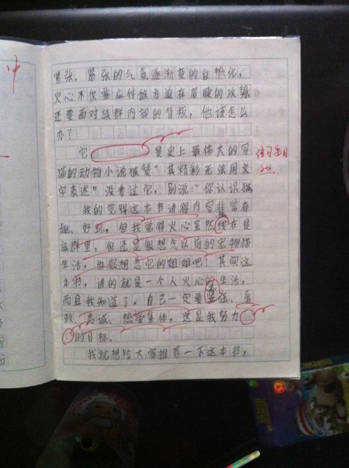 最喜爱的书本