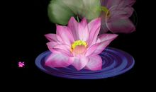 给心灵留点空隙