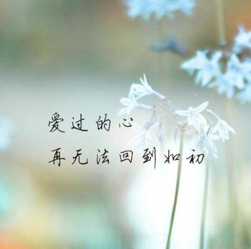 有一种叫做忧虑的味道