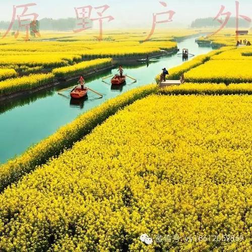 强奸在心脏领域开花