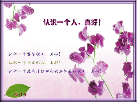 那里很棒