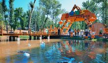 童年的小院美景