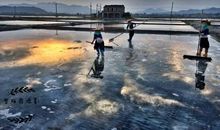 汗水换来的成长