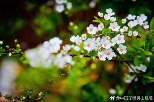 给自己一些困难