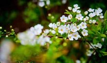 给自己一些磨难