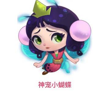 小蝴蝶，好老师