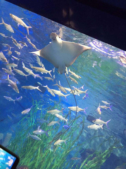 极地海洋公园一日游