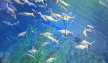 极地海洋公园一日游