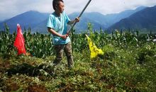 生活需要自立自强