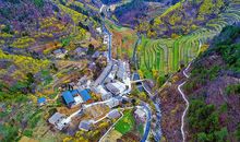 桃花谷惊险一幕