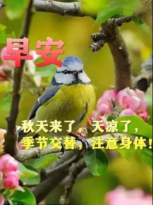 午夜的想法_50个单词