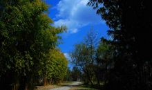 一路代码一路歌