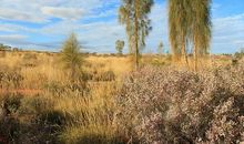 一路成长一路给予