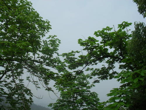 东台山的四个季节
