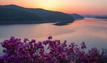 家乡有趣的四季