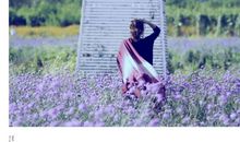 词韵绕梁味浓情更浓