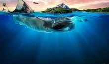 地球上的最后一瓶水