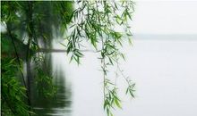 柳暗花明只待转身