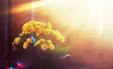 心中永恒的光