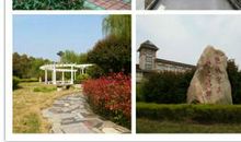 校园一角——“智泉”池