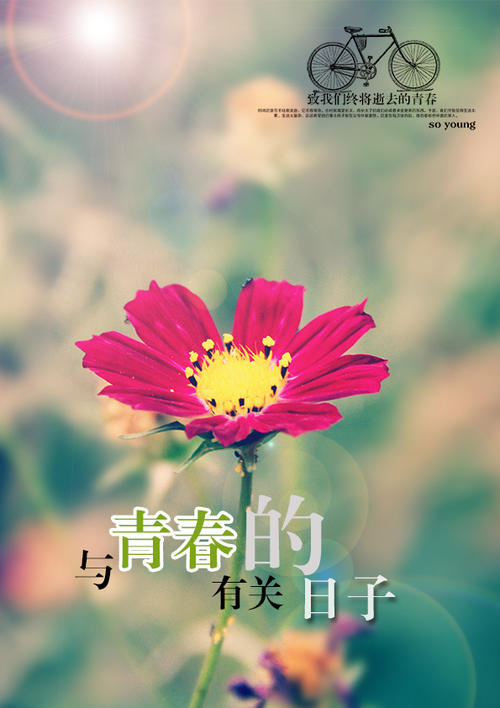 青春的日子