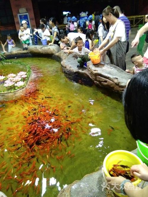 游览烂苹果公园