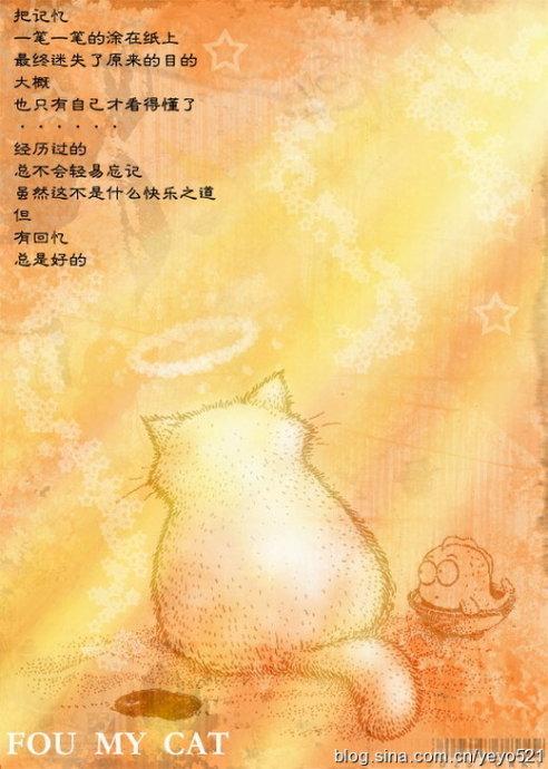 普通的日子也很美好
