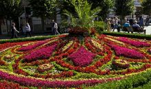 美丽花圃快乐秋游