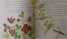 一年四季读后感